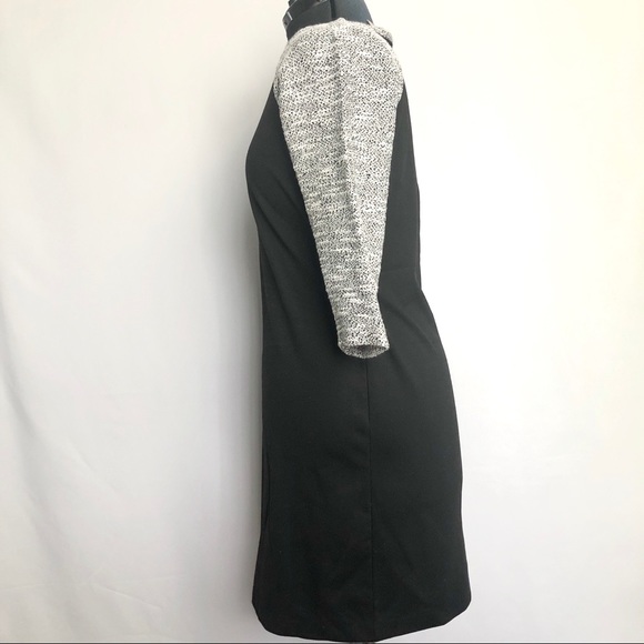 LOFT | Shift Dress Quarter Sleeve | Size: 6 - Picture 2 of 6